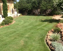 A backyard with a large lawn and bushes.