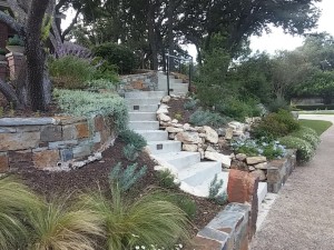 A stone stairway leading to a yard with plants and shrubs.